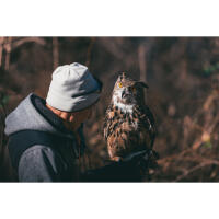 EXPO: East Coast Falcons Shoot with Bobby Stormer 8