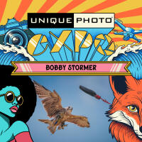EXPO: East Coast Falcons Shoot with Bobby Stormer 0
