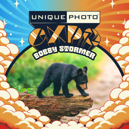 EXPO: Wildlife Saved My Life with Bobby Stormer