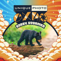 EXPO: Wildlife Saved My Life with Bobby Stormer 0