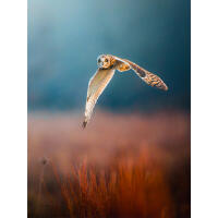 EXPO: Wildlife Saved My Life with Bobby Stormer 2
