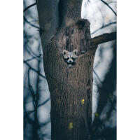 EXPO: Wildlife Saved My Life with Bobby Stormer 4