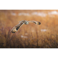EXPO: Wildlife Saved My Life with Bobby Stormer 5