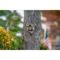 EXPO: Wildlife Saved My Life with Bobby Stormer 9