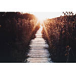EXPO: Finding Inspiration Around You with Bryan Minear (Fujifilm) 1