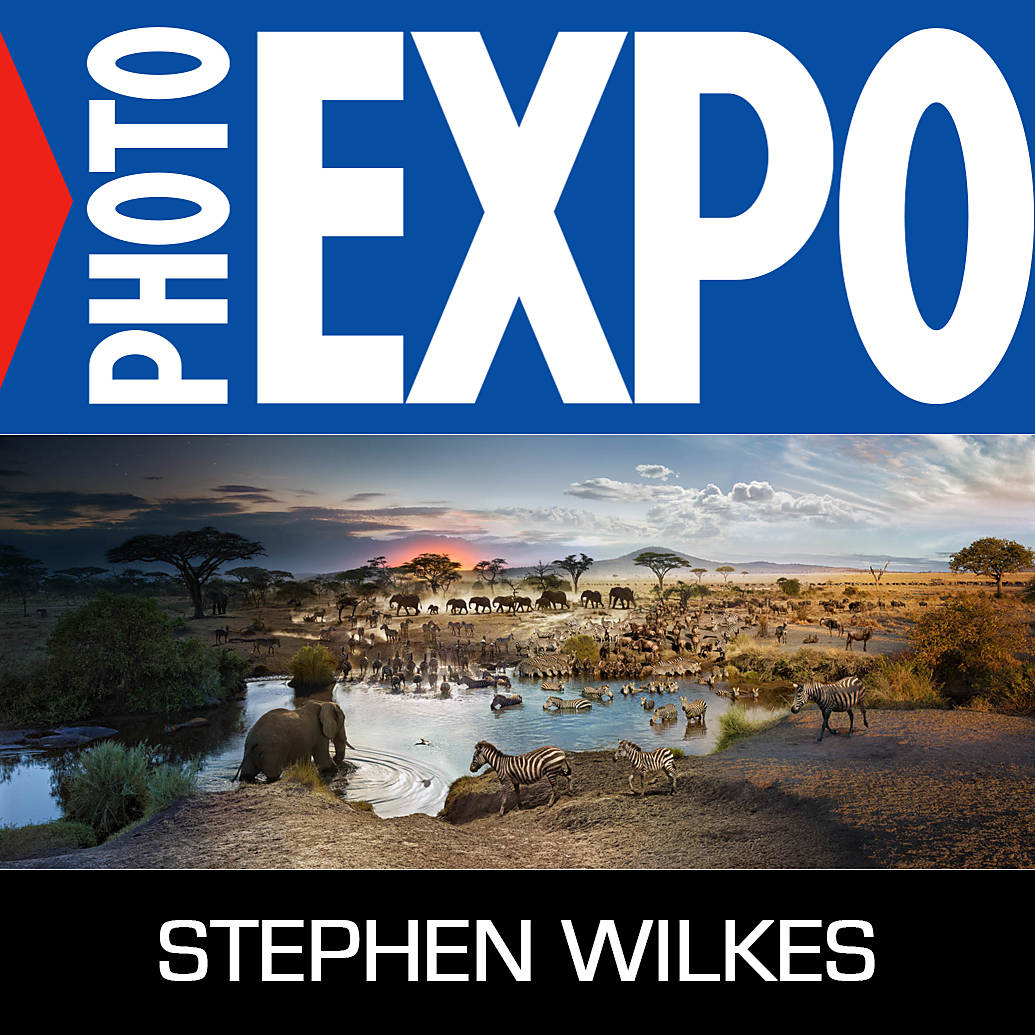 EXPO: Power of Beauty: Fine Art and Documentary Work of Stephen Wilkes (Lexar)