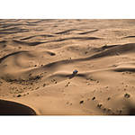 EXPO: Simon Bruty (Canon) 1