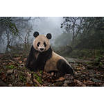 EXPO: The Stories We Are Seeking with Ami Vitale (Nikon) 2