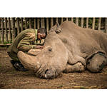 EXPO: The Stories We Are Seeking with Ami Vitale (Nikon) 4