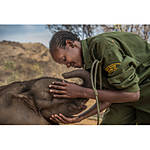 EXPO: The Stories We Are Seeking with Ami Vitale (Nikon) 6