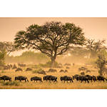 EXPO: The Stories We Are Seeking with Ami Vitale (Nikon) 7