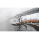 EXPO: From Memories to Photographs with Lazarus Baptiste 3