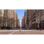 EXPO: From Memories to Photographs with Lazarus Baptiste 7