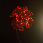 EXPO: Vintage Light Play with Caroline Jensen (Sony) 3