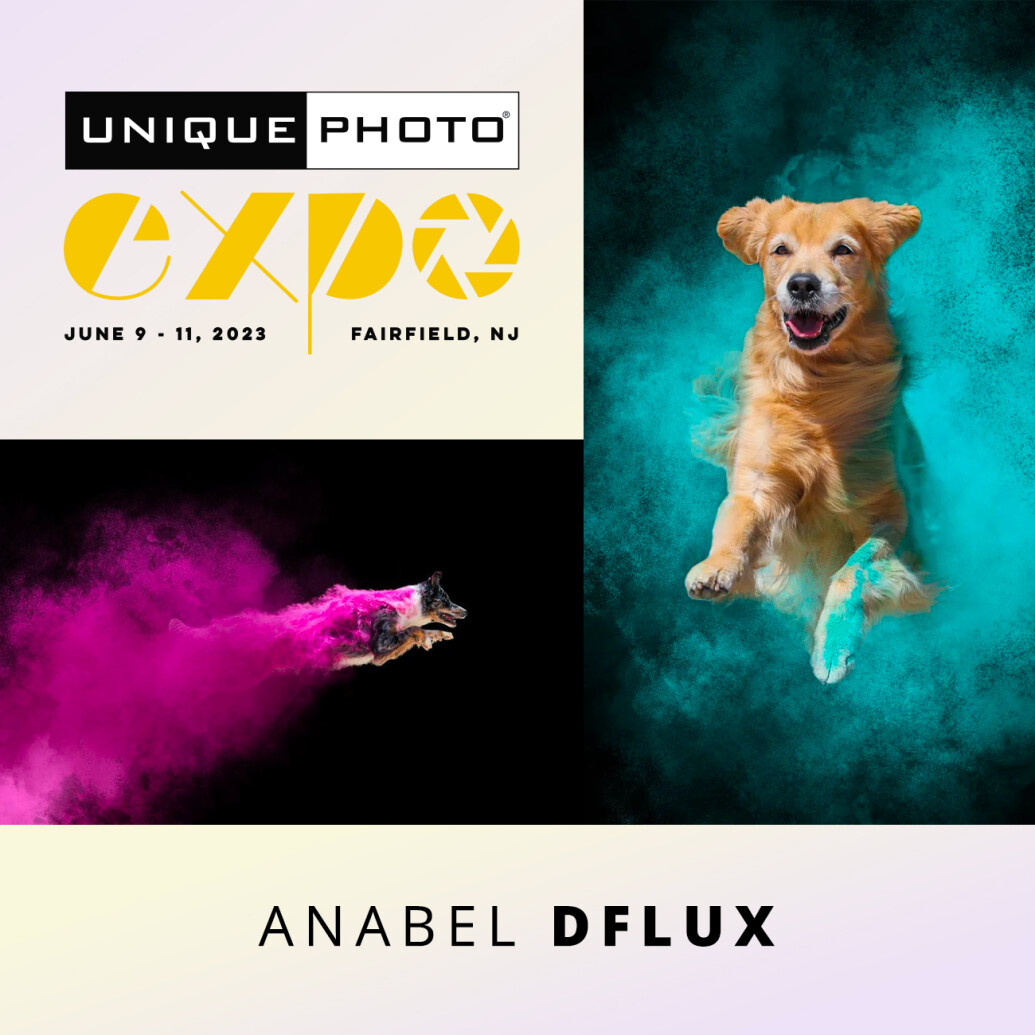 EXPO: Disc Dogs in Action with Anabel DFlux (Sigma)