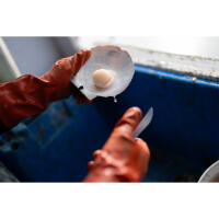 EXPO: One Photographers Journey with Sony Artisan David McLain (Sony) 4