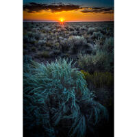 EXPO: Mastering Natural Light with Sony Artisan Andy Katz (Sony) 2