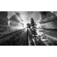 EXPO: Mastering Natural Light with Sony Artisan Andy Katz (Sony) 8