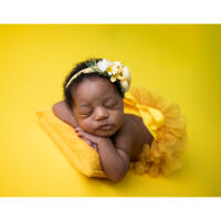 EXPO: Foundations of Newborn Photography with Jessie Marrero 10