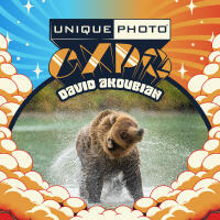 EXPO: The Decisive Moment in Wildlife Photography w. David Akoubian (Tamron) 0