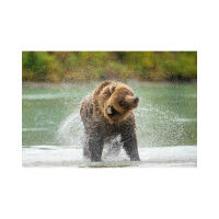 EXPO: The Decisive Moment in Wildlife Photography w. David Akoubian (Tamron) 2