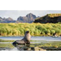 EXPO: Stories from the Road - Photography Across Worlds w. Matthew Borowick 5