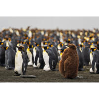 EXPO: Stories from the Road - Photography Across Worlds w. Matthew Borowick 7