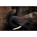 NJCS: Creative Camera Techniques for Storytelling with Kristi Odom (Nikon) 2