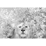 NJCS: Creative Camera Techniques for Storytelling with Kristi Odom (Nikon) 3