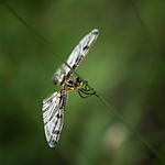 NJCS: Creative Camera Techniques for Storytelling with Kristi Odom (Nikon) 6