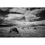 NJCS: Creative Camera Techniques for Storytelling with Kristi Odom (Nikon) 7