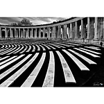 NJCS: Take Your Photography to the Next Level with Padma Inguva (AIP) 2