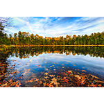 NJCS: Take Your Photography to the Next Level with Padma Inguva (AIP) 6