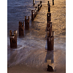 NJCS: Timelapse Imagery with Shiv Verma (Panasonic) 4