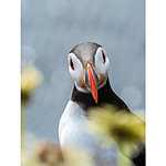 NJCS: The Learning Curve with Ralph Lee Hopkins (Olympus) 1