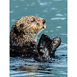 NJCS: The Learning Curve with Ralph Lee Hopkins (Olympus) 2