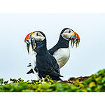 NJCS: The Learning Curve with Ralph Lee Hopkins (Olympus) 3