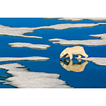 NJCS: The Learning Curve with Ralph Lee Hopkins (Olympus) 4