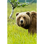 NJCS: The Learning Curve with Ralph Lee Hopkins (Olympus) 5