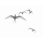 NJCS: The Learning Curve with Ralph Lee Hopkins (Olympus) 6