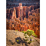 NJCS: Shaping Landscapes and Portraits in LR and PS with Joe Brady 5