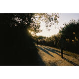 Bird Photography Bootcamp: Morning Magic Sunrise Photowalk at Higbee Beach 6