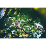 Bird Photography Bootcamp: Capturing Nature and Timing with Bobby Stormer 5