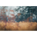 Bird Photography Bootcamp: Capturing Nature and Timing with Bobby Stormer 6