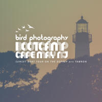 Bird Photography Bootcamp: Sunset Boat Tour on the Osprey with Tamron 0
