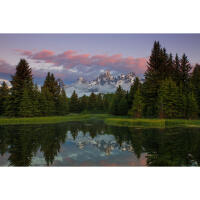 NJCS: Portfolio Review with Cecil Holmes (Tamron) 1