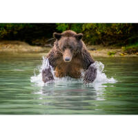 NJCS: Portfolio Review with Cecil Holmes (Tamron) 8