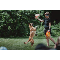 NJCS: Photographing Disc Dogs 3