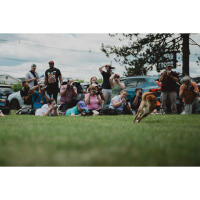 NJCS: Photographing Disc Dogs 7