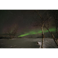 NJCS: Photographing the Northern Lights with Michael Downey 2